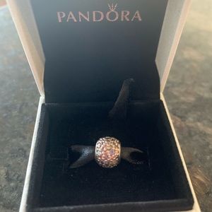 Pandora retired charm